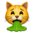 Vomit cat