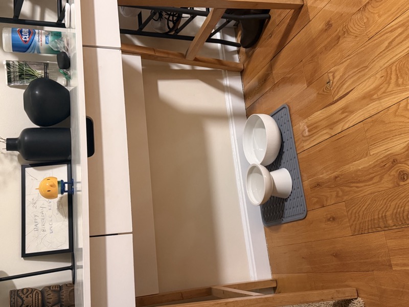 Water bowl setup